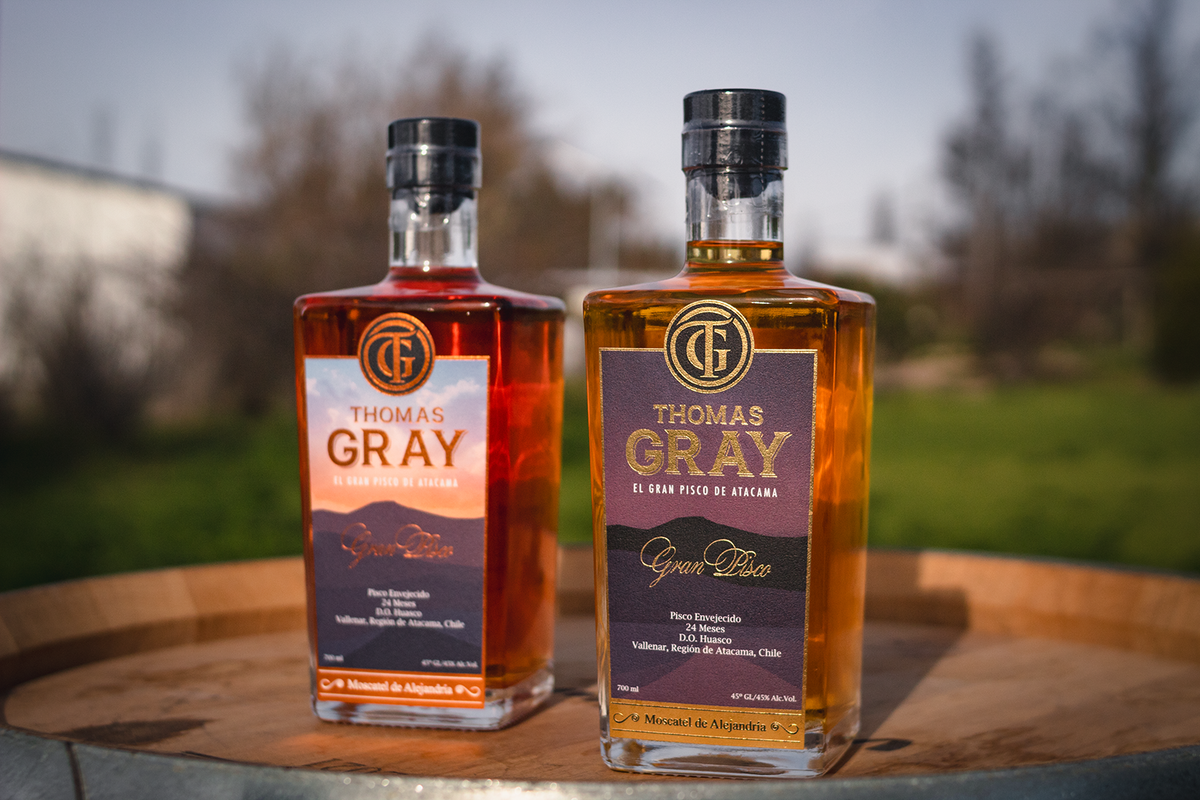 Pisco Thomas Gray