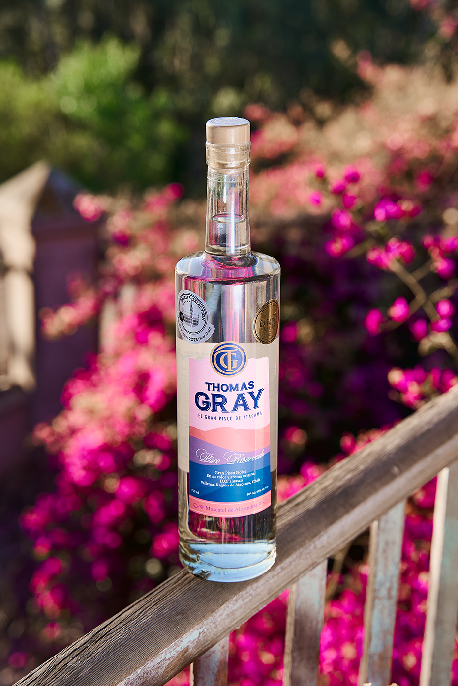 Pisco Thomas Gray